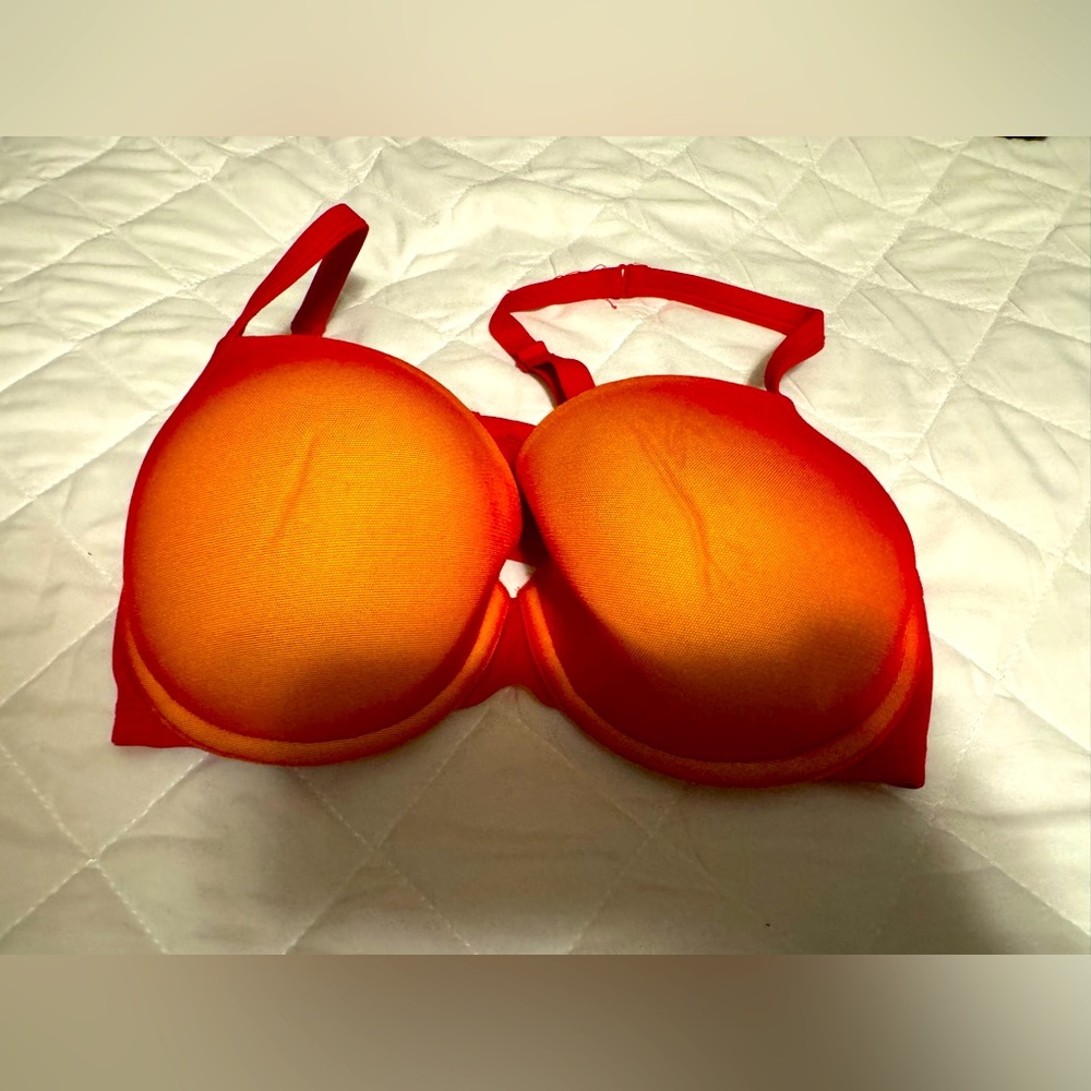 Lane Bryant Bra Size 42B